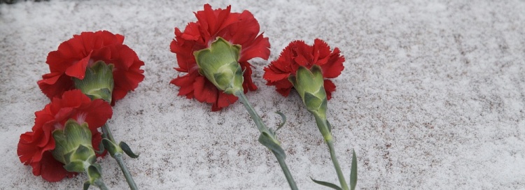 цветы на могилу
